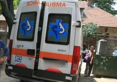 Gripa porcină a făcut prima victimă în Slovacia