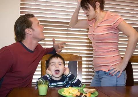 Membrii unei familii se ceartă 15 minute zilnic
