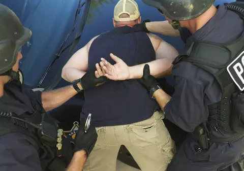 Şase infractori români arestaţi în Austria