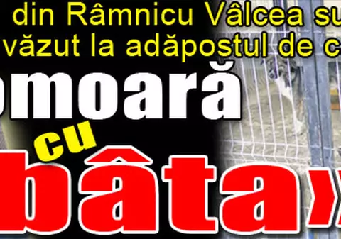 «Îi omoară cu bâta»
