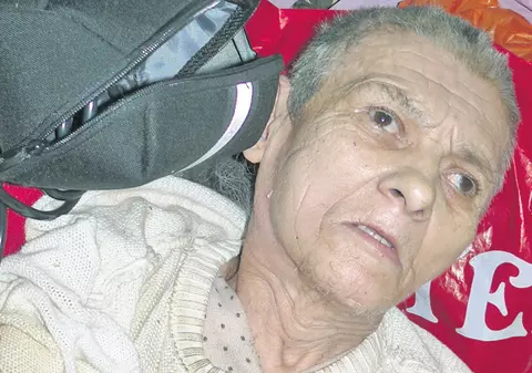 Putrezea de vie în casă