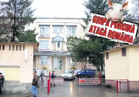 Virusul a ucis din nou?