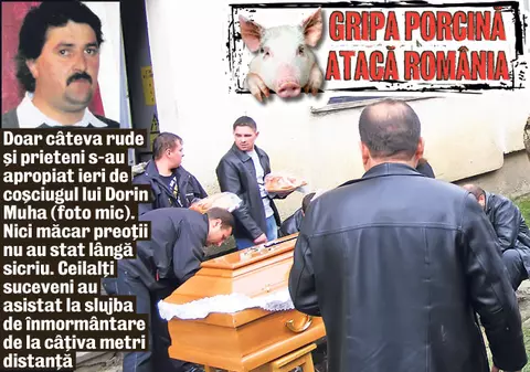 Porcina a stricat înmormântarea