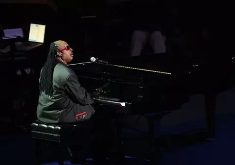 Stevie Wonder, ambasador ONU pentru pace