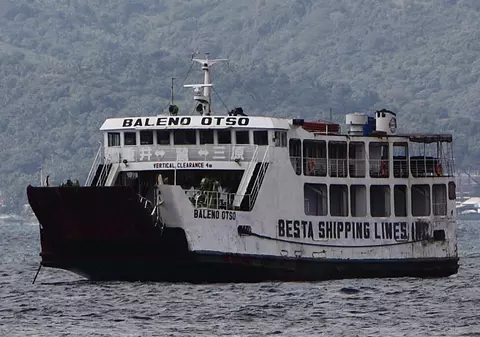 Balene eşuate în Noua Zeelandă