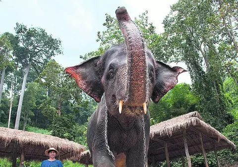 Ai încerca un astfel de masaj?