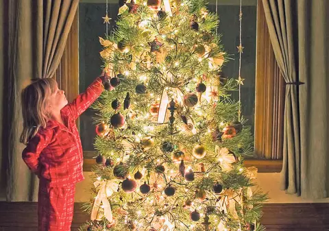 Fă-ţi un brad ca-n poveşti!