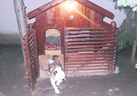 A dat 2000 de euro pentru o cuşcă de lux