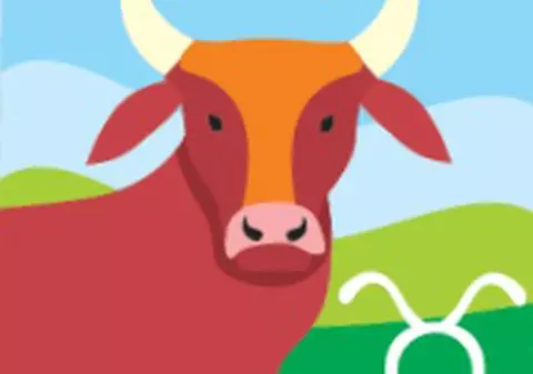 Taurii sunt încântaţi