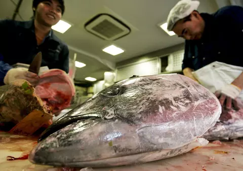 176.420 $ pentru un ton de 232 kilograme