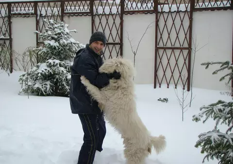 Pe câinele lui Dan Negru îl cheamă Google