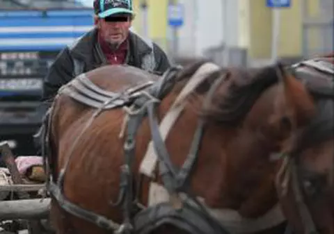 A murit strivit de căruţă