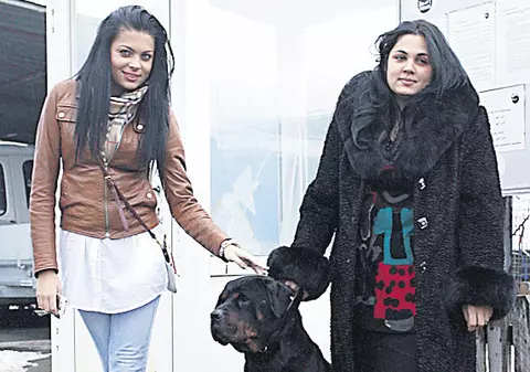 Şi-a regăsit stăpânii