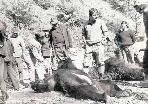 Un fost gonac: "Acum, oricine poate fi vânător"
