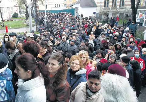 Omor la vaccinarea contra gipei porcine
