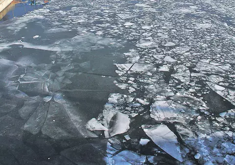 Video / Executaţi în stil mafiot, pentru bani