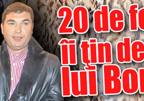 20 de feline îi ţin de cald lui Borcea