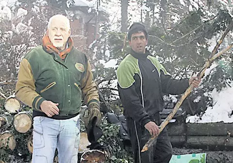 Brazii lui Ceauşescu au fost tăiaţi cu drujba