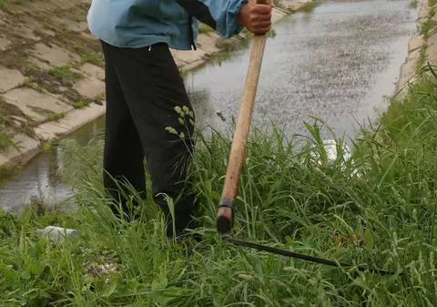 Şi-a omorât tatăl cu coasa