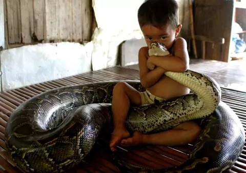 O fetiţă de şase luni are animal de companie un piton
