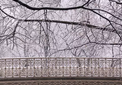 O furtună de zăpadă paralizează New York-ul