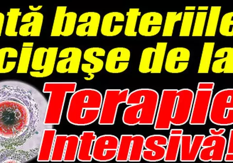 Iată bacteriile ucigaşe de la Terapie Intensivă!