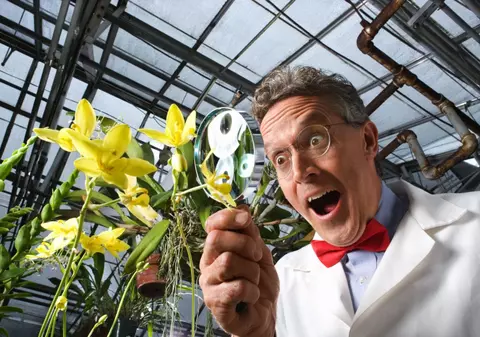 Urina face plantele mai frumoase, spun grădinarii britanici