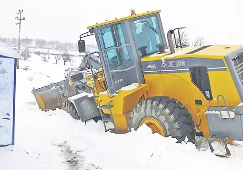 Asta nu e primăvară!