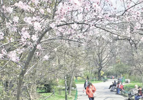 Vine primăvara! De joi...