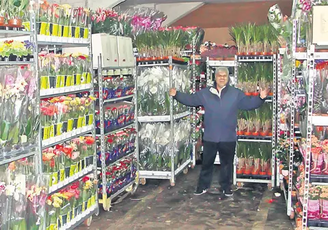 «Umplem Bucureştiul cu flori din Olanda»