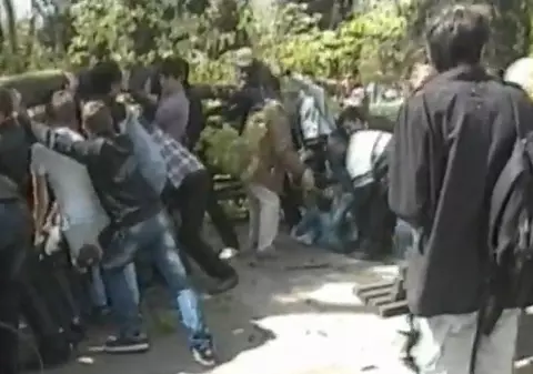 Cinci elevi au fost zdrobiţi de un tei, pe o bancă în parc