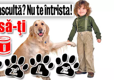 Te învăţăm cum să-ţi dresezi câinele