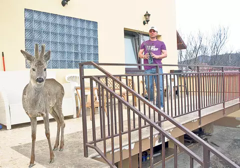 Cosmin de la t-Short şi-a umplut curtea cu animale