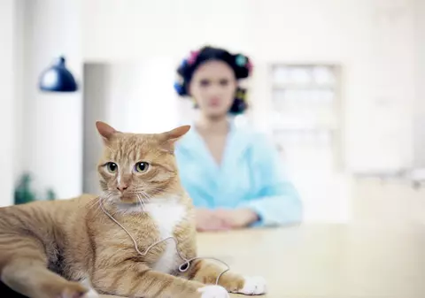 5 semne că prietena ta e nebună!