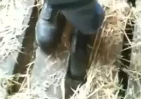 Video / Şi-a prins piciorul între scânduri şi n-a ştiut ce să mai facă! 