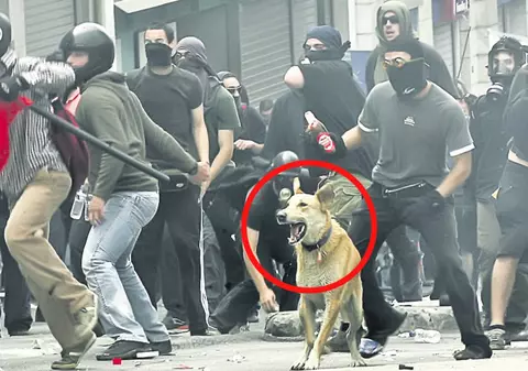 Câinele revoluţionar din Atena