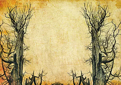 Fenomene stranii în Munţii Buzăului