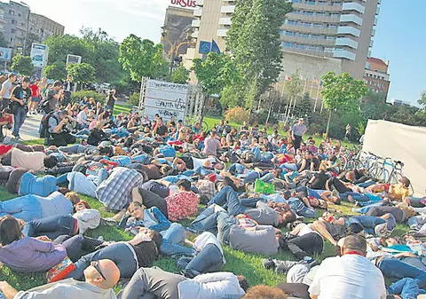 S-au întins pe jos pentru maidanezi, în faţa TNB