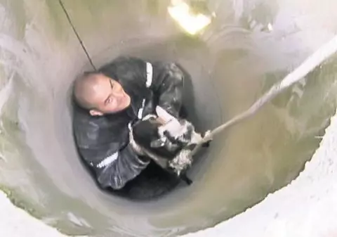 El şi-a salvat "fratele" căzut în canal