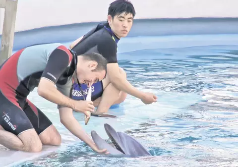 Mănâncă 150 kg de peşte pe zi