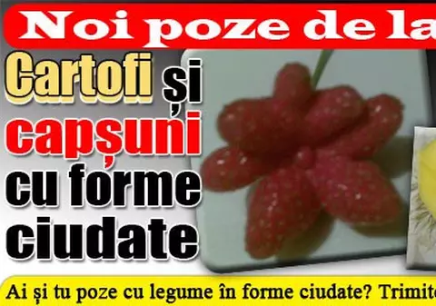 Foto | Noi poze de la cititori cu cartofi şi căpşuni cu forme ciudate