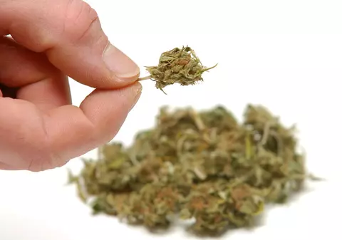 Captură de proporţii în Constanţa: zeci de tone de ţiţei, o plantaţie de cannabis şi 23 de maşini de lux furate