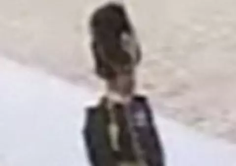 Video | Un membru al Gărzii Regale Suedeze a leşinat la nunta Prinţesei Victoria