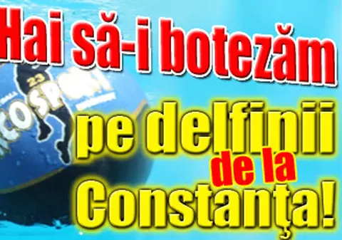 Hai să-i botezăm pe delfinii de la Constanţa!