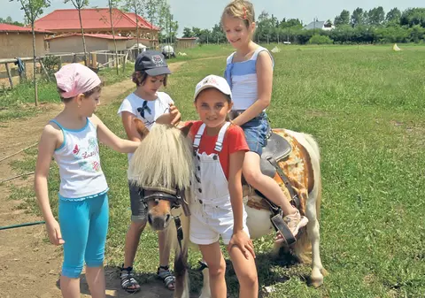 Iată câteva locuri unde poţi hrăni animalele sau să te joci cu ele