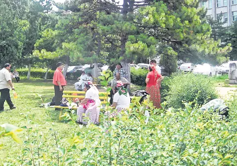 Pentru că au o rudă internată în Constanţa, ţiganii s-au mutat în curtea spitalului