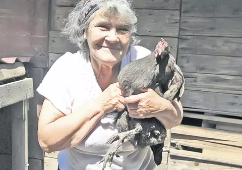 Oprescu vrea să scape de găinile din Bucureşti, fermierii se opun: «Nu îmi luaţi găinile»