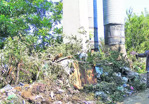 Vor să-i amendeze pentru că au făcut curat!