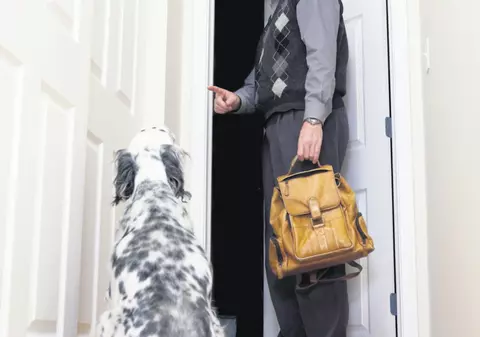 Îţi laşi câinele singur acasă?