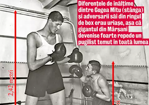Cine l-a ucis pe Gogea Mitu, uriaşul nostru?